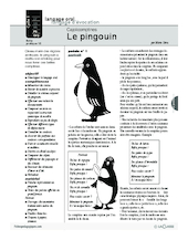 Cajolicomptines (15) / Le pingouin