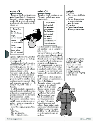 Cajolicomptines (15) / Le pingouin