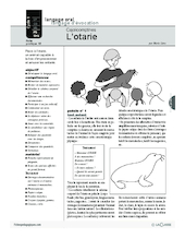 Cajolicomptines (16) / L'otarie