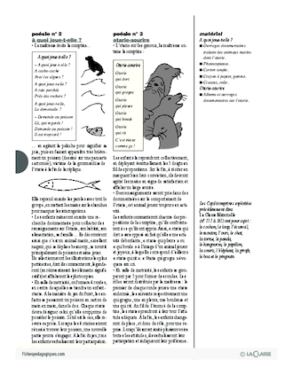 Cajolicomptines (16) / L'otarie