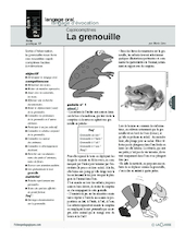 Cajolicomptines (17) / La grenouille
