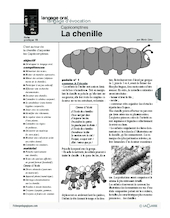 Cajolicomptines (18) / La chenille