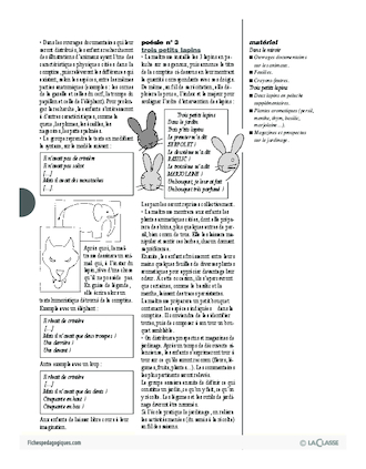 Cajolicomptines (19) / Le lapin