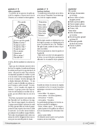 Cajolicomptines (7) / La tortue