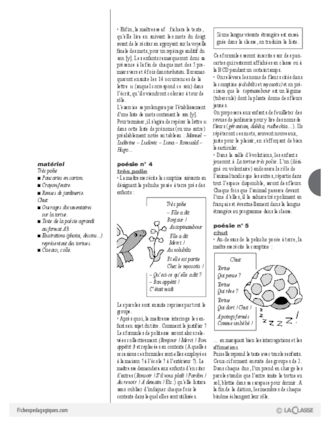 Cajolicomptines (7) / La tortue