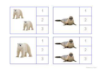 Cartes à compter - Animaux du froid
