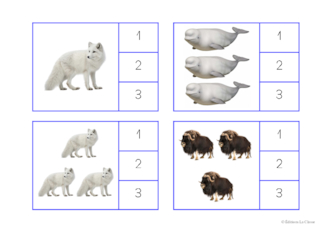 Cartes à compter - Animaux du froid