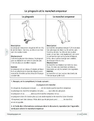 Ces animaux que l'on confond parfois