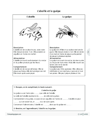 Ces animaux que l'on confond parfois