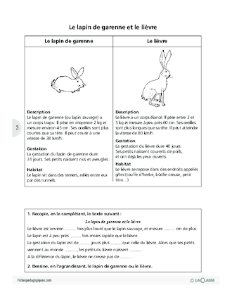 Ces animaux que l'on confond parfois