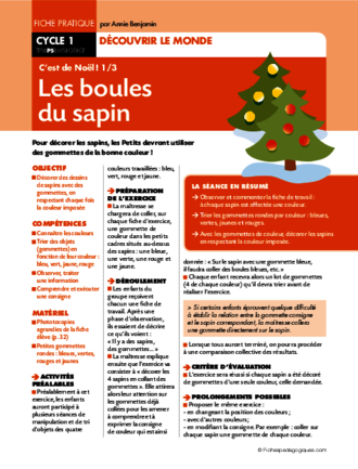 C'est de Noël (1) / Les boules de sapin