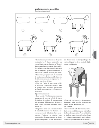 Chamois (1)