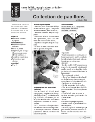 Collection de papillons