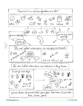 Comment ma mémoire fonctionne-t-elle? (Cycle 2)