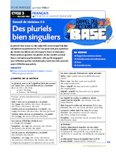 Conseil de révisions (3) / Des pluriels bien singuliers