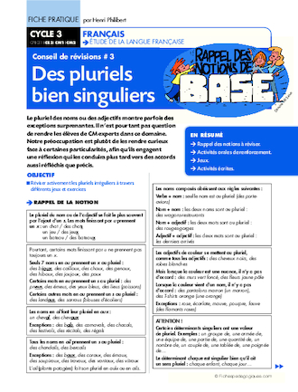 Conseil de révisions (3) / Des pluriels bien singuliers