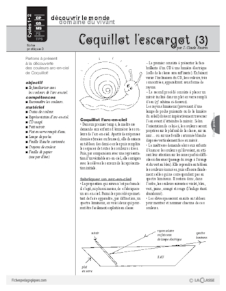 Coquillot l'escargot (3)