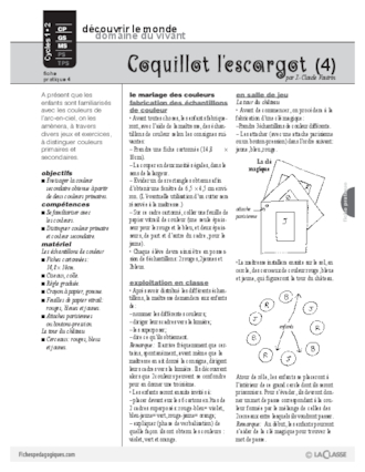 Coquillot l'escargot (4)