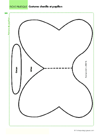 Costume chenille et papillon