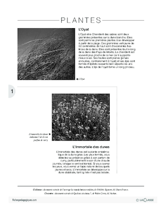 Côté livre, côté jardin (4) /En courant dans les dunes