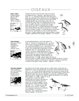 Côté livre, côté jardin (4) /En courant dans les dunes