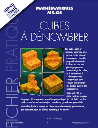 Cubes à dénombrer