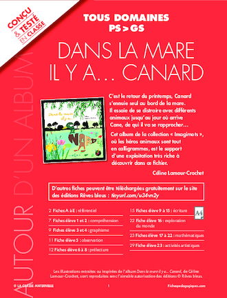 Dans la mare, il y a... Canard