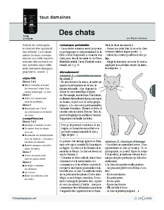 Des chats