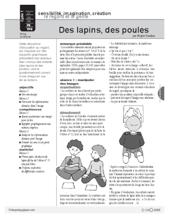 Des lapins, des poules (Image)