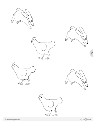 Des lapins, des poules (Image)