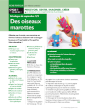 Des oiseaux marottes