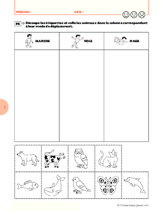 Des poils partout. Classifier les animaux (3)