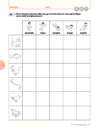 Des poils partout. Classifier les animaux (3)