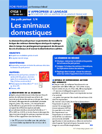 Des poils partout. Les animaux domestiques (1)