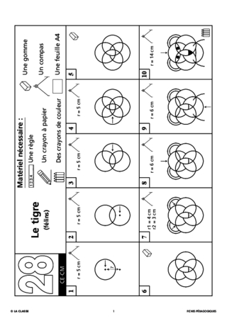 Dessiner Un Tigre Au Compas Fichespédagogiquescom