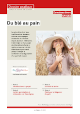 Du blé au pain