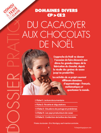 Du cacaoyer aux chocolats de Noël