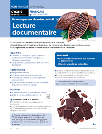 Du cacaoyer aux chocolats de Noël