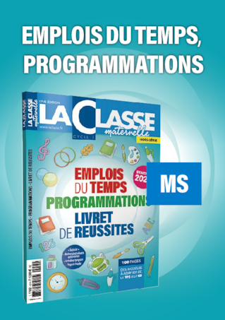 Emplois du temps et programmations MS 2020