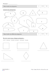 Évaluation sur les polygones et les mesures CE1