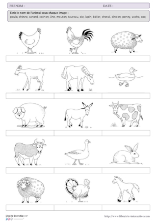 Exercice d'écriture CP-CE1 : Les animaux de la ferme
