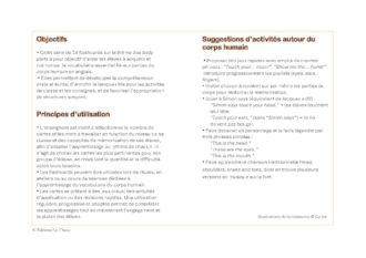 Flashcards : the human body