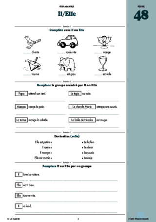 Français CP grammaire ~ Cahiers malins