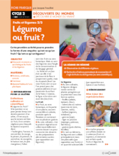 Fruits et légumes (2) / Légume ou fruit ?