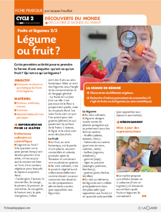 Fruits et légumes (2) / Légume ou fruit ?