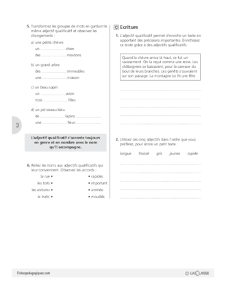 Grammaire (7) / L'adjectif qualificatif (2)