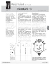 Hellébore (conte) / 2