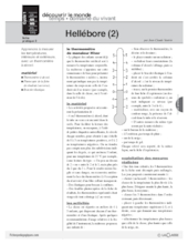 Hellébore (conte) / 3