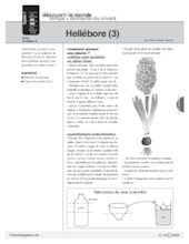 Hellébore (conte) / 4