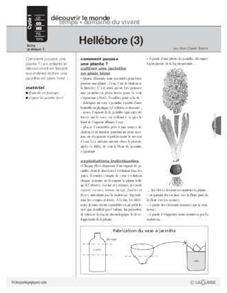 Hellébore (conte) / 4